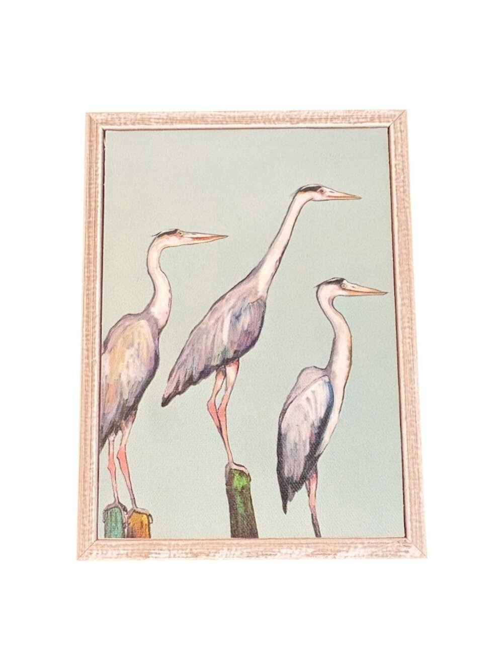 Eli Halpin Heron Focus Mini Framed Canvas Art 5x7 Green Box Art Rustic White